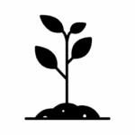 plantas